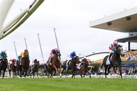 randwick guineas odds|Randwick Guineas 2024 .